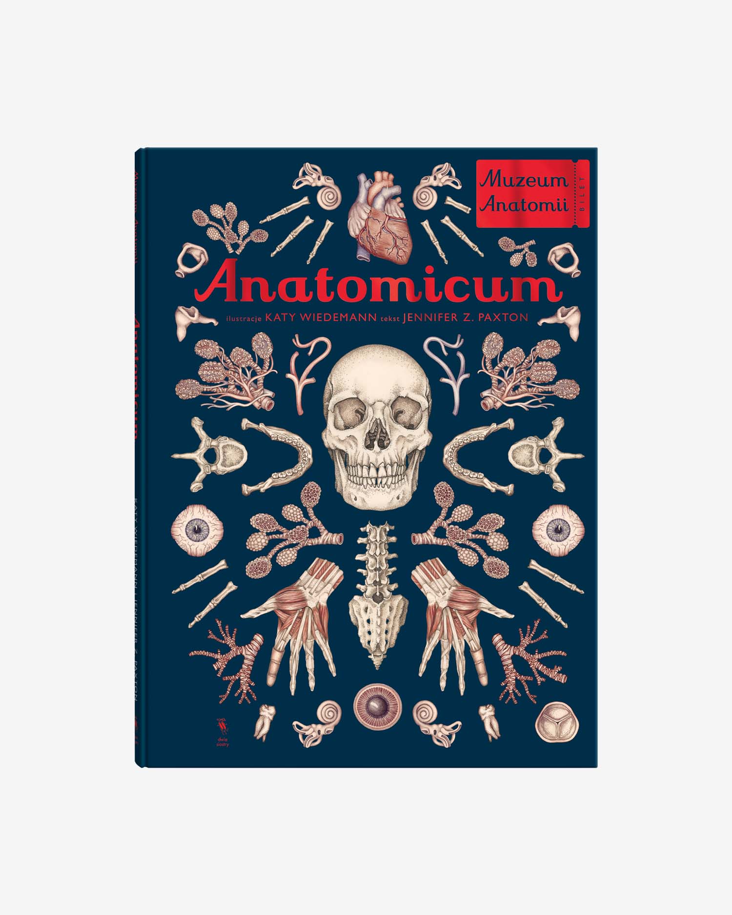 Anatomicum1