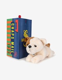 Przytulanka w pudełku Bertha the American Bulldog B.T Chaps. Przytulanka buldog