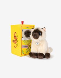 Przytulanka w pudełku Eddie the Siamese B.T Chaps.