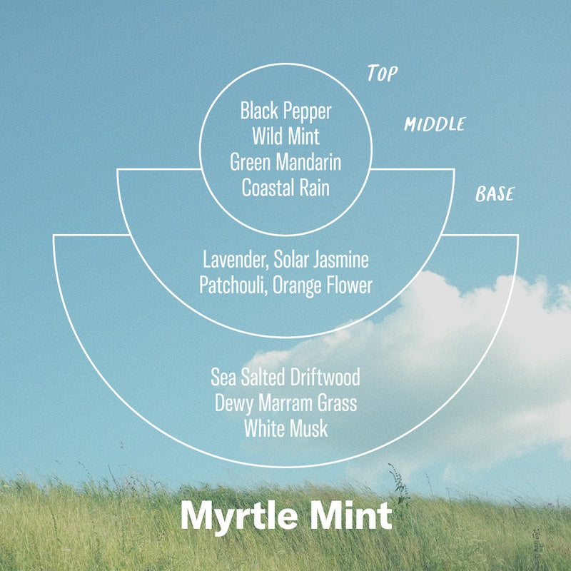 Naturalna świeca sojowa Myrtle Mint2 Naturalna świeca sojowa Myrtle Mint