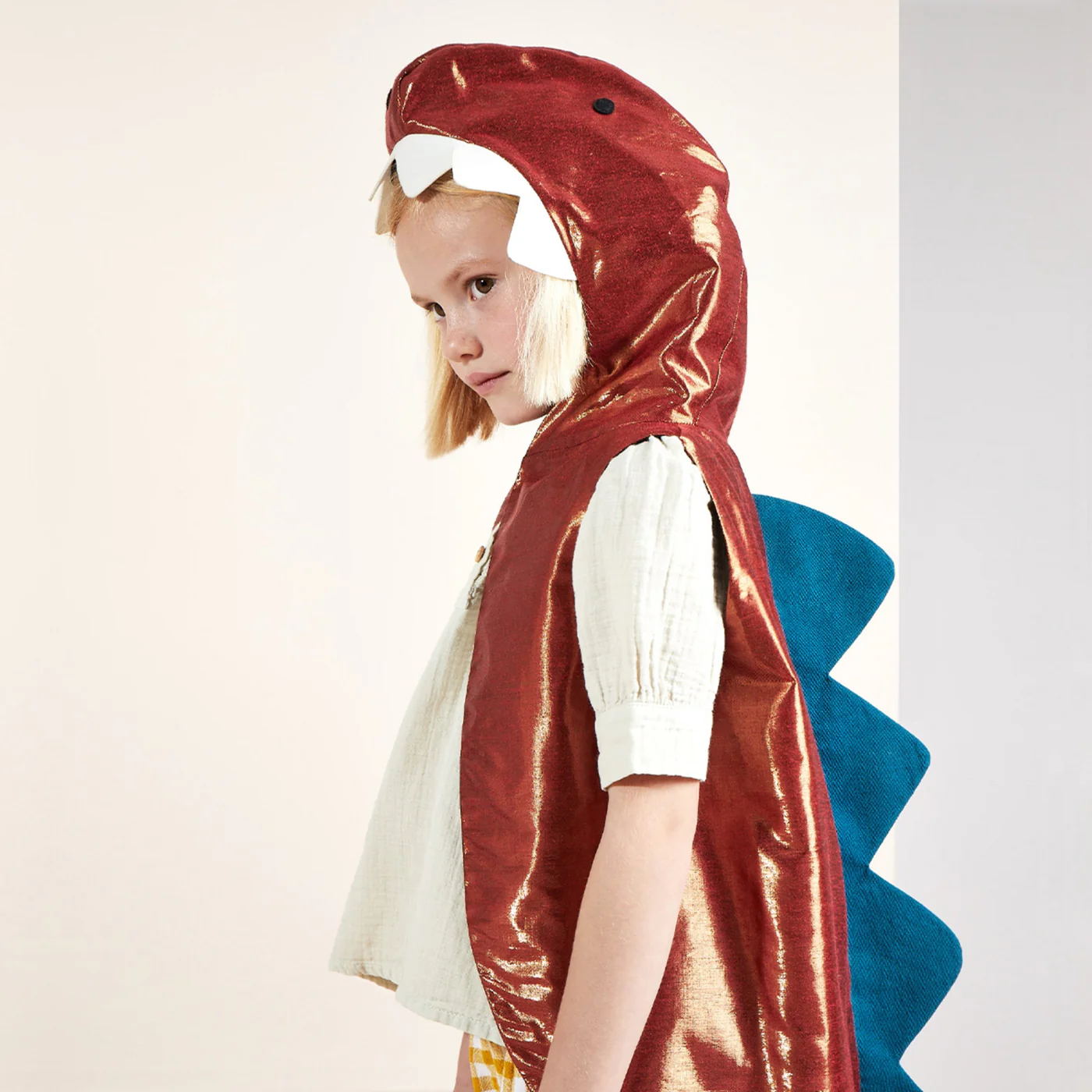 Przebranie dla dzieci Dinozaur7