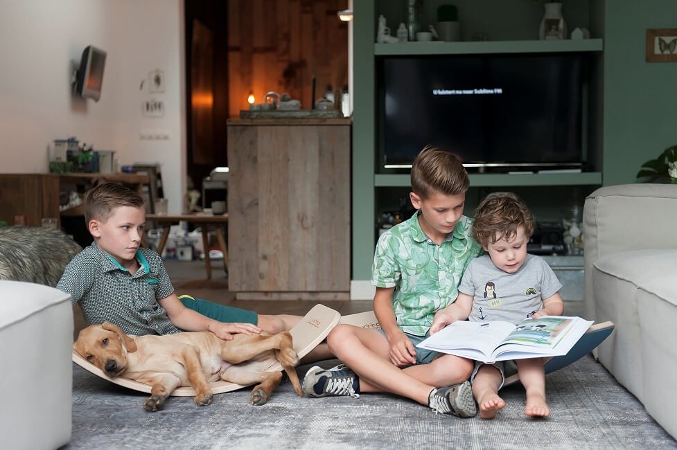 Deska do balansowania z filcem Mint3