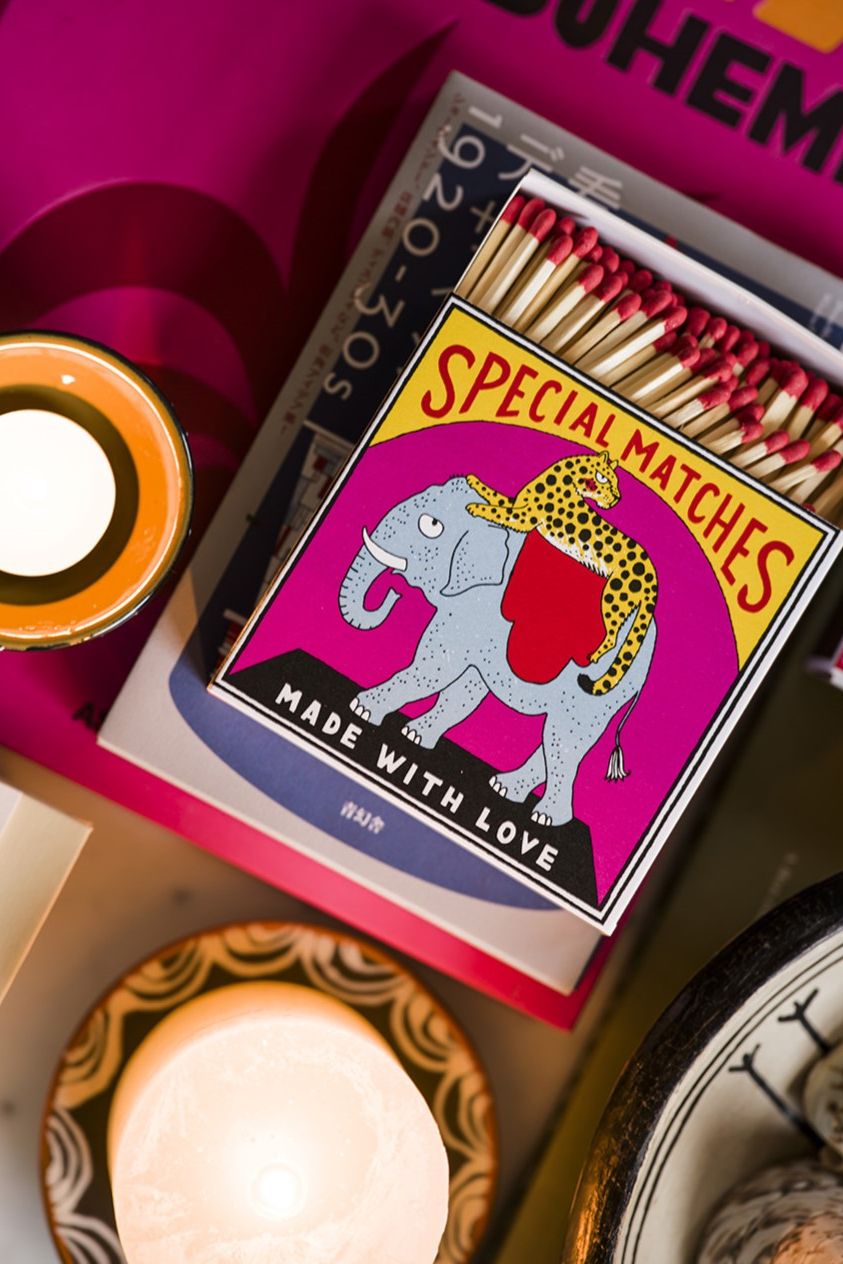 Elephant and Cheetah Matches4